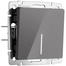 Изображение Выключатель одноклавишный проходной с подсветкой (графит акрил) W1112144